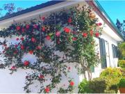 Casaa 4 quarto, Esposende Esposende DS96495681