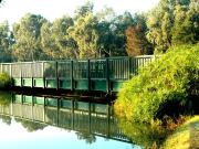 Casaa 4 quarto, Portimão Algarve DS85870666