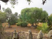 Casaa 4 quarto, Tavira Tavira DS97124439