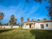 Casaa 6 quarto, Palmela Palmela DS93327542