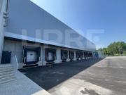 Casaa Braga Braga DS93058261