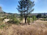 Casaa Leiria Leiria DS98503507