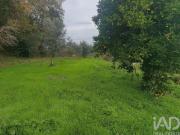 Casaa Oliveira do Hospital Oliveira do Hospital DS99886625