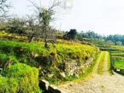 Casaa Ponte de Lima Ponte de Lima DS95879712