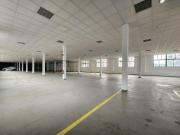 Casaa Porto Porto ES87130768