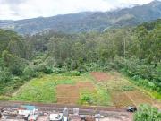 Casaa Santana Ilha Da Madeira DS98503511