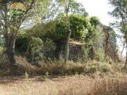 Casaa Santiago do Cacém Santiago do Cacém DS97122818