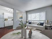 Casablanca & Casanova Apartments