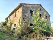 Casale 300mq vista mare 1Ha olivi Serra de' Conti...