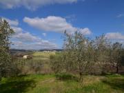Casale Colonico Rustico in vendita a Appignano del...