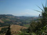 Casale Colonico Rustico in vendita a Montefiore dell'Aso