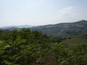 Casale Colonico Rustico in vendita a Monteprandone,...