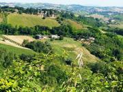 Casale colonico / Rustico in vendita a Montottone