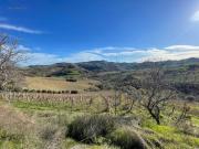 Casale Colonico Rustico in vendita a Ripatransone, Trivio