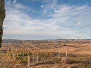 Casale con azienda agricola, Castiglion d'Orcia,...