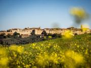 Casale con vista e piscina, Magliano in Toscana,...