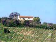 Casale diviso in 2 unità in vendita vicino a...