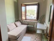 Casale in affitto a Capalbio, arredato, giardino...