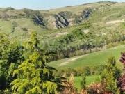 Casale in affitto a Radicofani via Roma, arredato,...