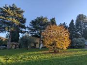 Casale in in affitto da privato a Rocca di Papa via dei...
