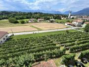 Casale in pietra ristrutturato con vigneto