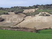 Casale in vendita a Bertinoro