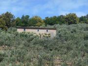 Casale in vendita a Calci, da ristrutturare, posizione...