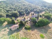 Casale in vendita a Casole d'Elsa