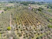 Casale in vendita a Castiglione di Sicilia