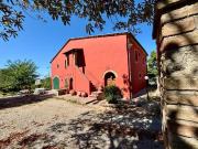 Casale in vendita a Fauglia