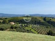 Casale in vendita a Grosseto