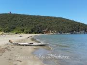 Casale in vendita a Grosseto