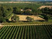 Casale in vendita a Grosseto