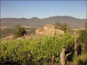 Casale in vendita a Orvieto