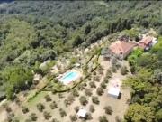 Casale in vendita a Palaia via panorammica