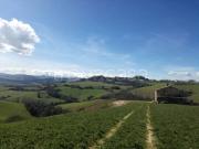 Casale in vendita a Petritoli via Roma, 8