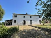 Casale in vendita a San Miniato