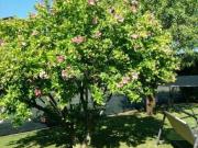 Casale in vendita a Sarzana