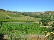 Casale / Rustico in vendita a Spinetoli, COLLINARE