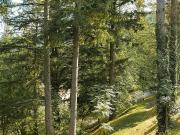 Casale storico a Fivizzano, cuore verde della Toscana...