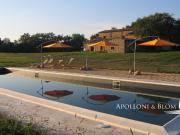 Casale Storico del 1700, energia solare, vigneto Doc...