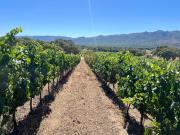 Casale Zona tranquilla