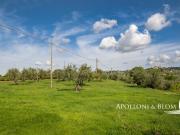 Casali Il Sole, con terreno e due piscine, Città della...