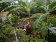 Casalote urbano de 489 M2 en 590 mill en La Mesa Cund COL