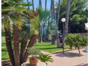 Casas de pueblo en venta en Burriana