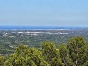 Casas de pueblo en venta en El Campello