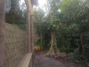 Casas em maresias à venda