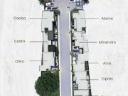 Casas en fraccionamiento foresta