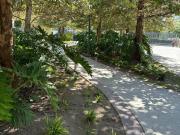 Casas en preventa en NOUVE