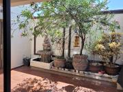Casas en Renta en Colinas de San Jerónimo
